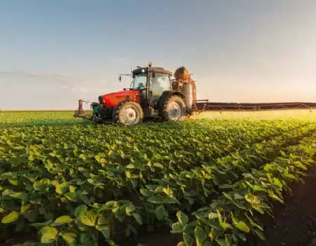 AGRICULTURA, GANADERÍA Y CAZA