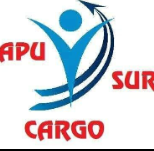 APUSUR CARGO E.I.R.L, BIBLIOTECAS Y MUSEOS, ABANCAY, naturales,productos,nutrysol