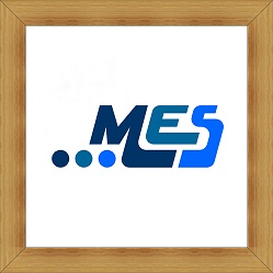 MES srl, OTROS TIPOS DE VENTA POR MENOR,FABRICACIÓN DE PRODUCTOS DE CAUCHO Y PLÁSTICO, EL AGUSTINO